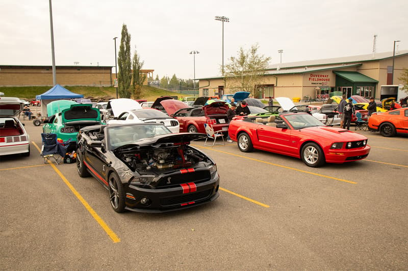 The Mustang Club was given their own section to display their wild horses together