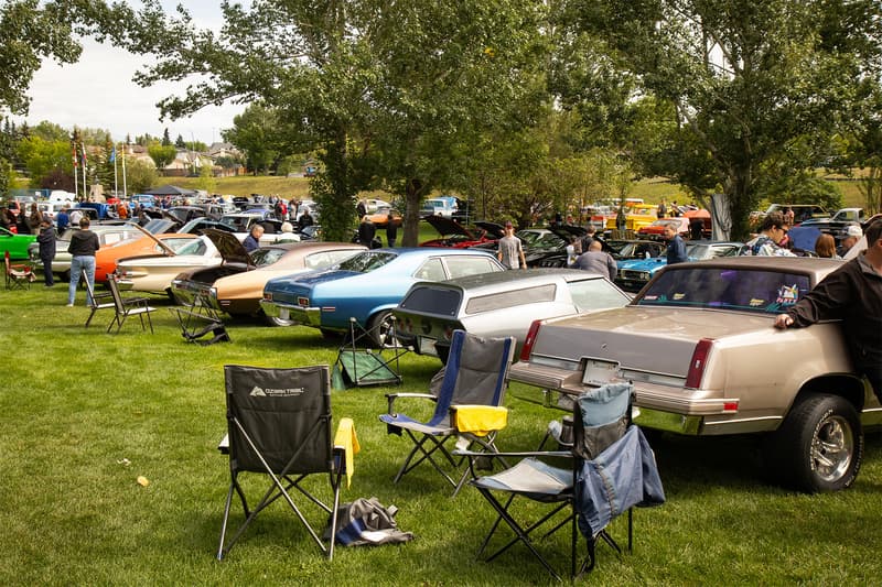 A line up from behind, including a Chevrolet Corvette that could either be considered a wagon, or shooting brake custom