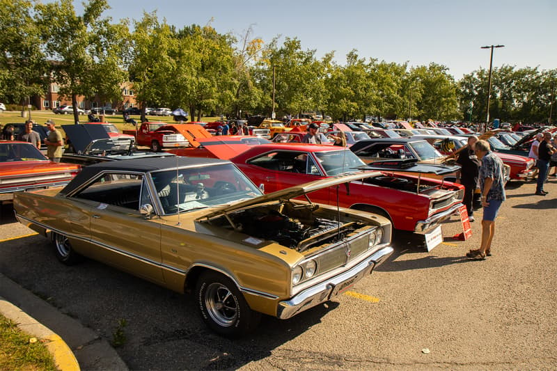 One of the many rows of Mopar's in attendance of Central Alberta Mopar Association's August Heat 2024